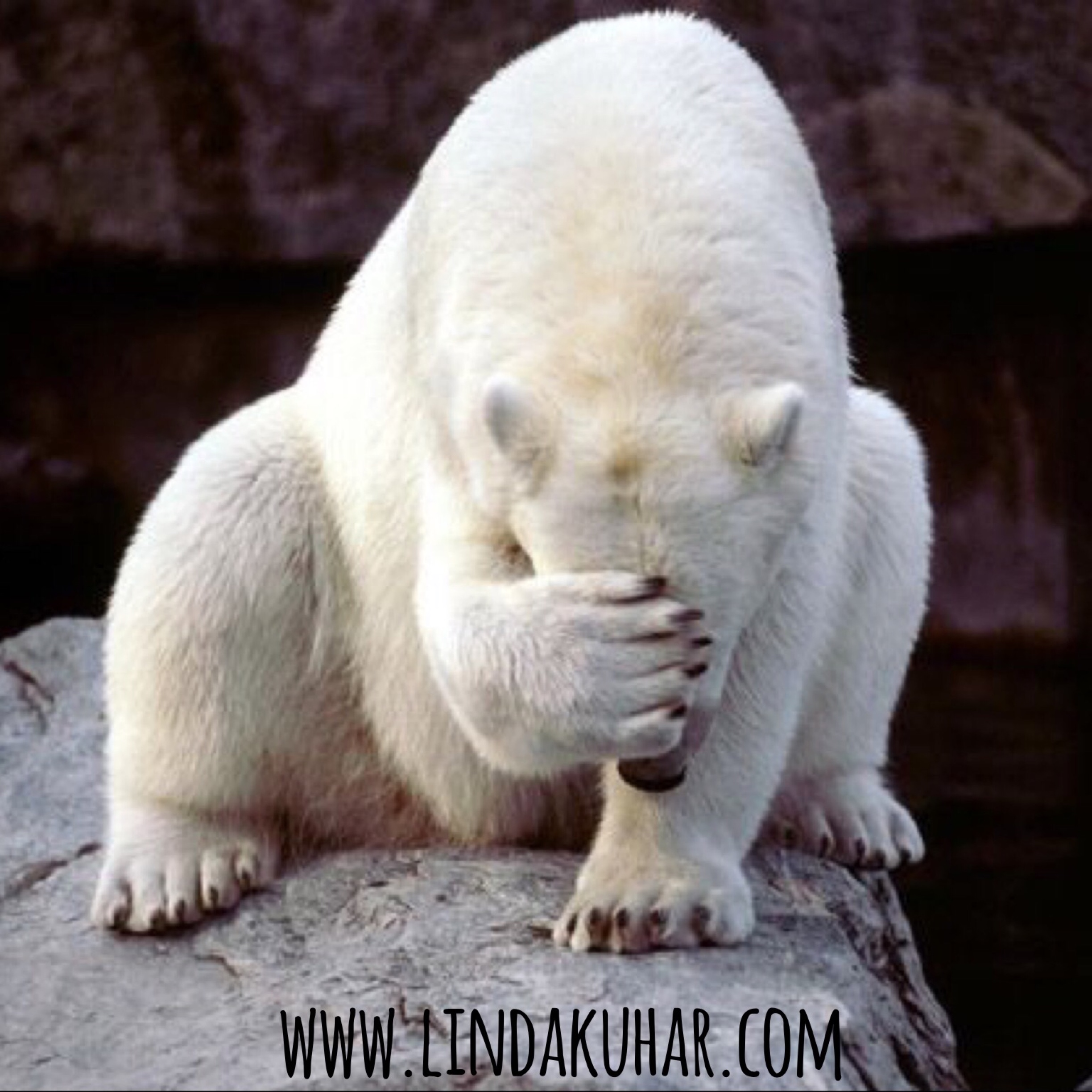 How I Used Being Embarrassed To My Advantage Linda Kuhar, Christ amateur hq picture How I Used Being Embarrassed To My Advantage Linda Kuhar, Christ